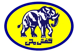 کفش ملی